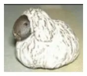 Får